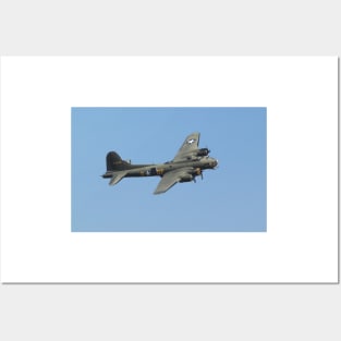 Sally B Posters and Art